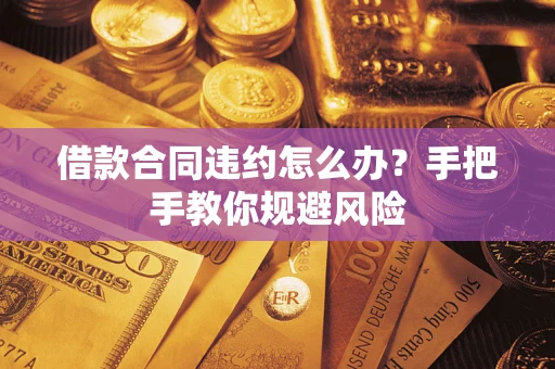 武汉借款合同违约怎么办？手把手教你规避风险