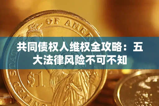 武汉共同债权人维权全攻略：五大法律风险不可不知