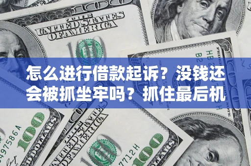 武汉怎么进行借款起诉？没钱还会被抓坐牢吗？抓住最后机会！