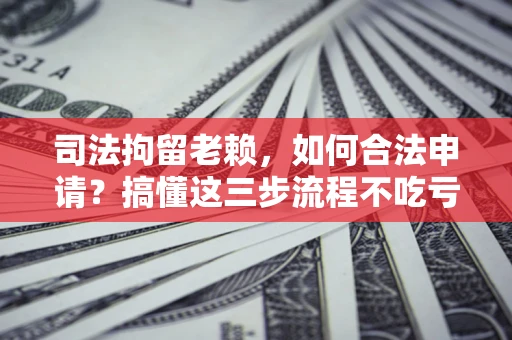 武汉司法拘留老赖，如何合法申请？搞懂这三步流程不吃亏！