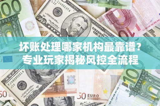 武汉坏账处理哪家机构最靠谱？专业玩家揭秘风控全流程