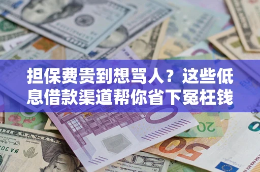 武汉担保费贵到想骂人？这些低息借款渠道帮你省下冤枉钱