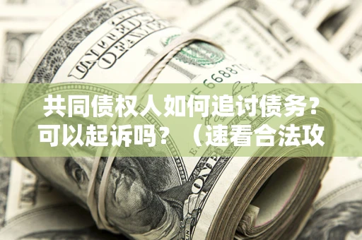 武汉共同债权人如何追讨债务？可以起诉吗？（速看合法攻略）