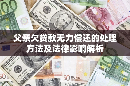 武汉父亲欠贷款无力偿还的处理方法及法律影响解析